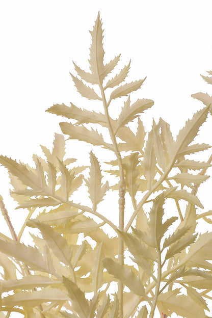 20" Fern Bush Cream