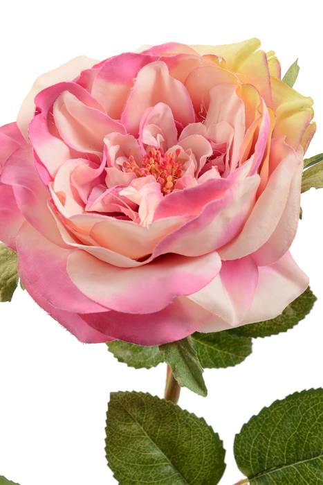 22" English Rose Spray Two Tone Mauve