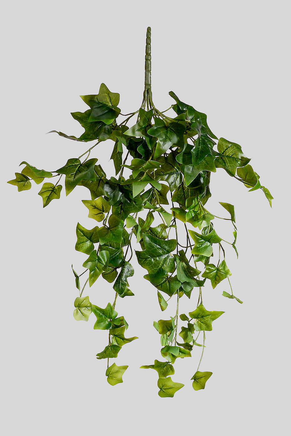28" English Ivy Hanging Bush Green