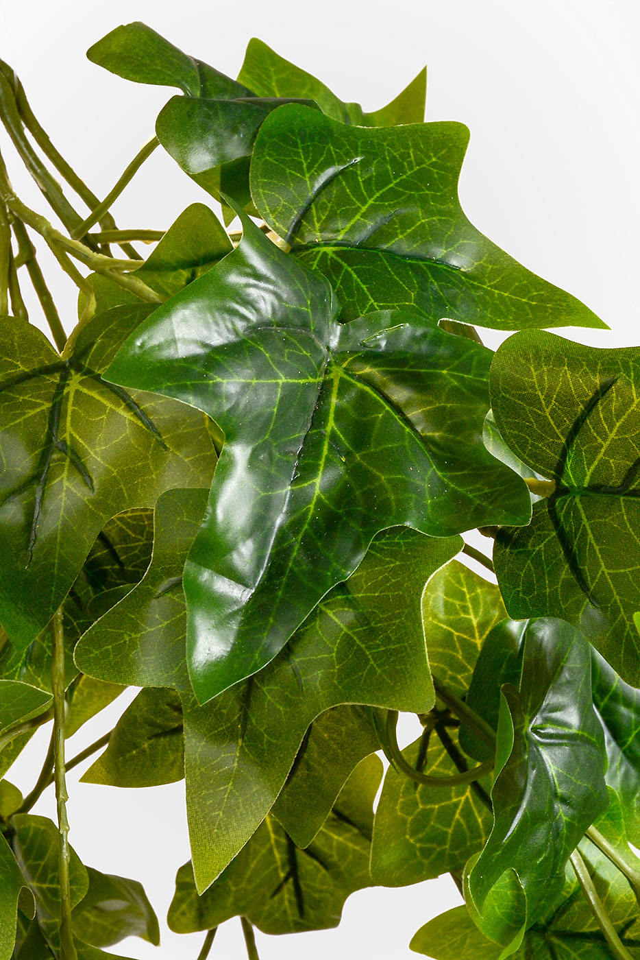 28" English Ivy Hanging Bush Green