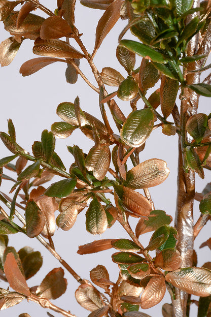 34" Glitter Boxwood Spray Gold