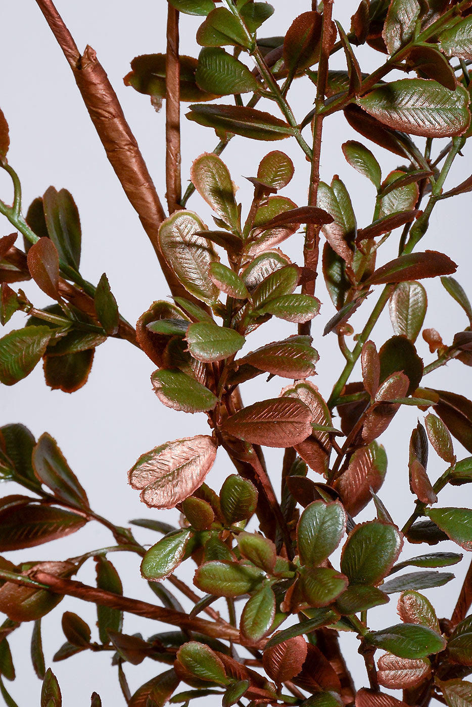 34" Glitter Boxwood Spray Copper