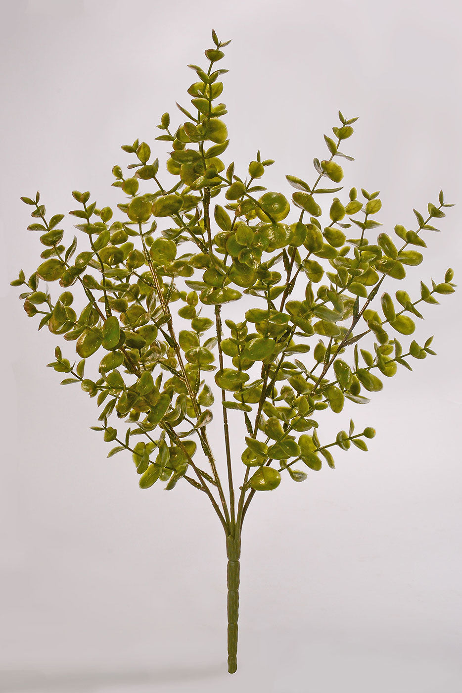 18" Eucalyptus Bush Green