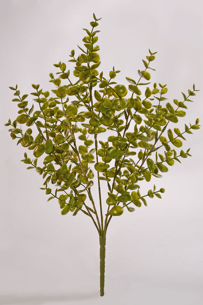 18" Eucalyptus Bush Green
