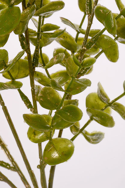 18" Eucalyptus Bush Green