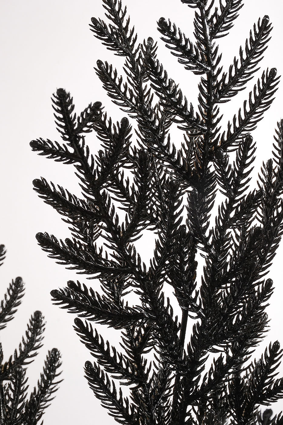 21" Pine Bush with Glitter Black