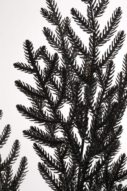 21" Pine Bush with Glitter Black