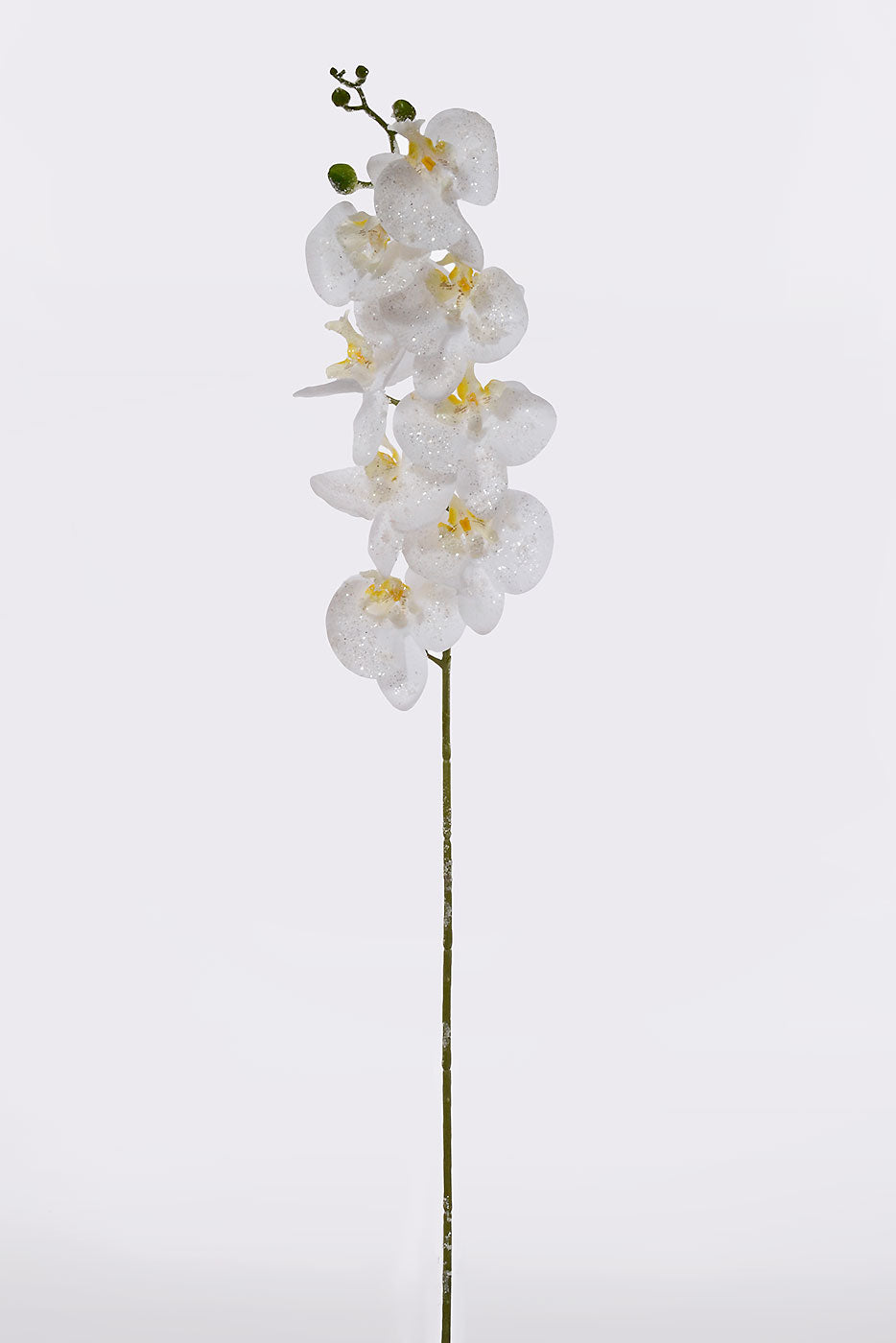 34â€³ Iced Phalaenopsis Spray White