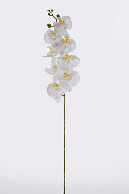 34â€³ Iced Phalaenopsis Spray White