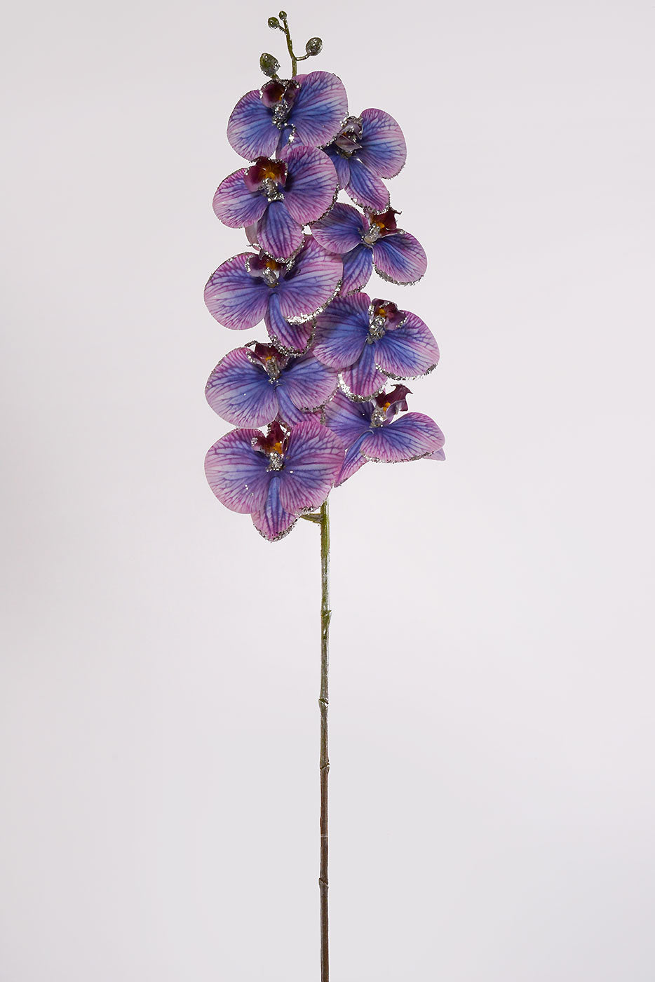 37" Glittered Phalaenopsis Orchid Spray Purple