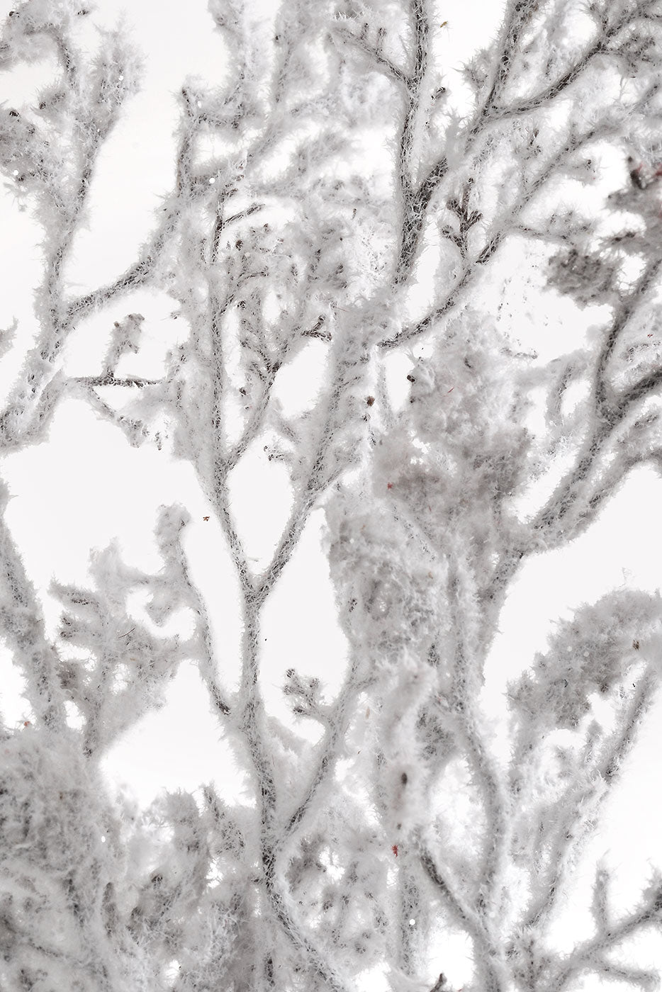 30" Snowed Artificial Twig Stem Bundle White