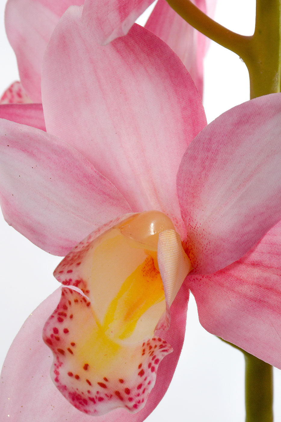 38" Silk Cymbidium Orchid Spray Pink/Yellow