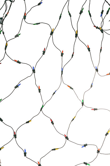 4Ft X 6Ft 150 Lights Net Lites Green/Wire Multi