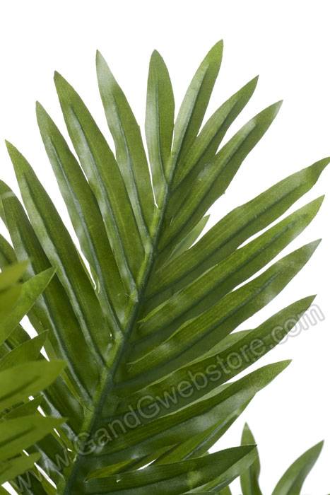 36" Areca Palm Tree Green