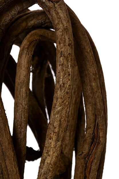 DRIED RATTAN COIL, Natural