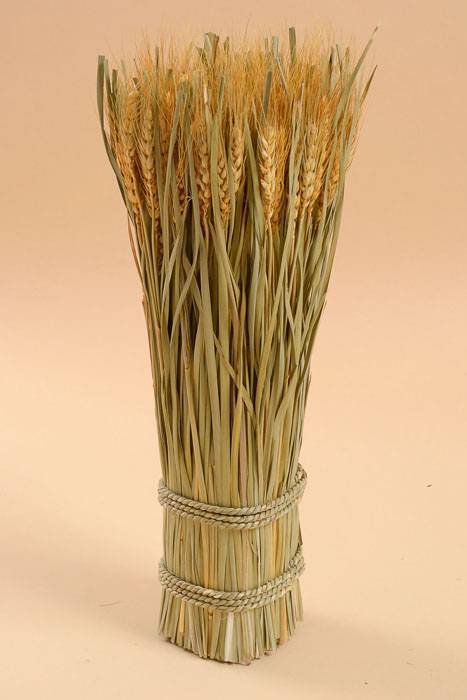 16" Wheat Grass Stand Natural Yellow