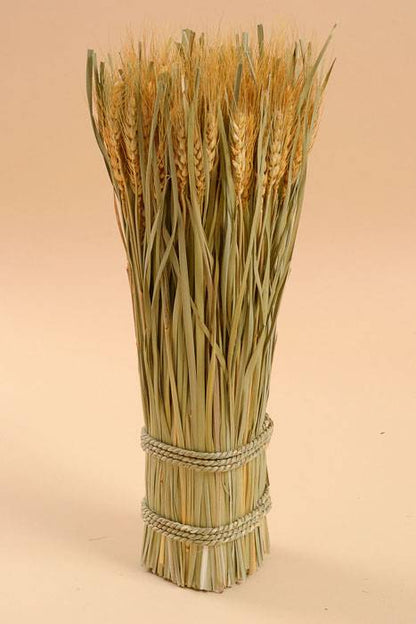 16" Wheat Grass Stand Natural Yellow