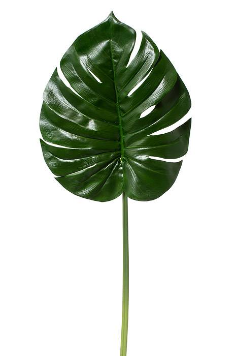 28" Split Philo Leaf Green