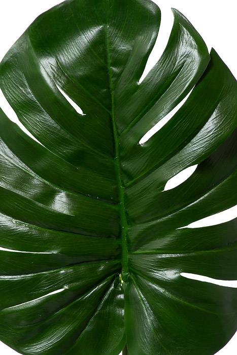 28" Split Philo Leaf Green