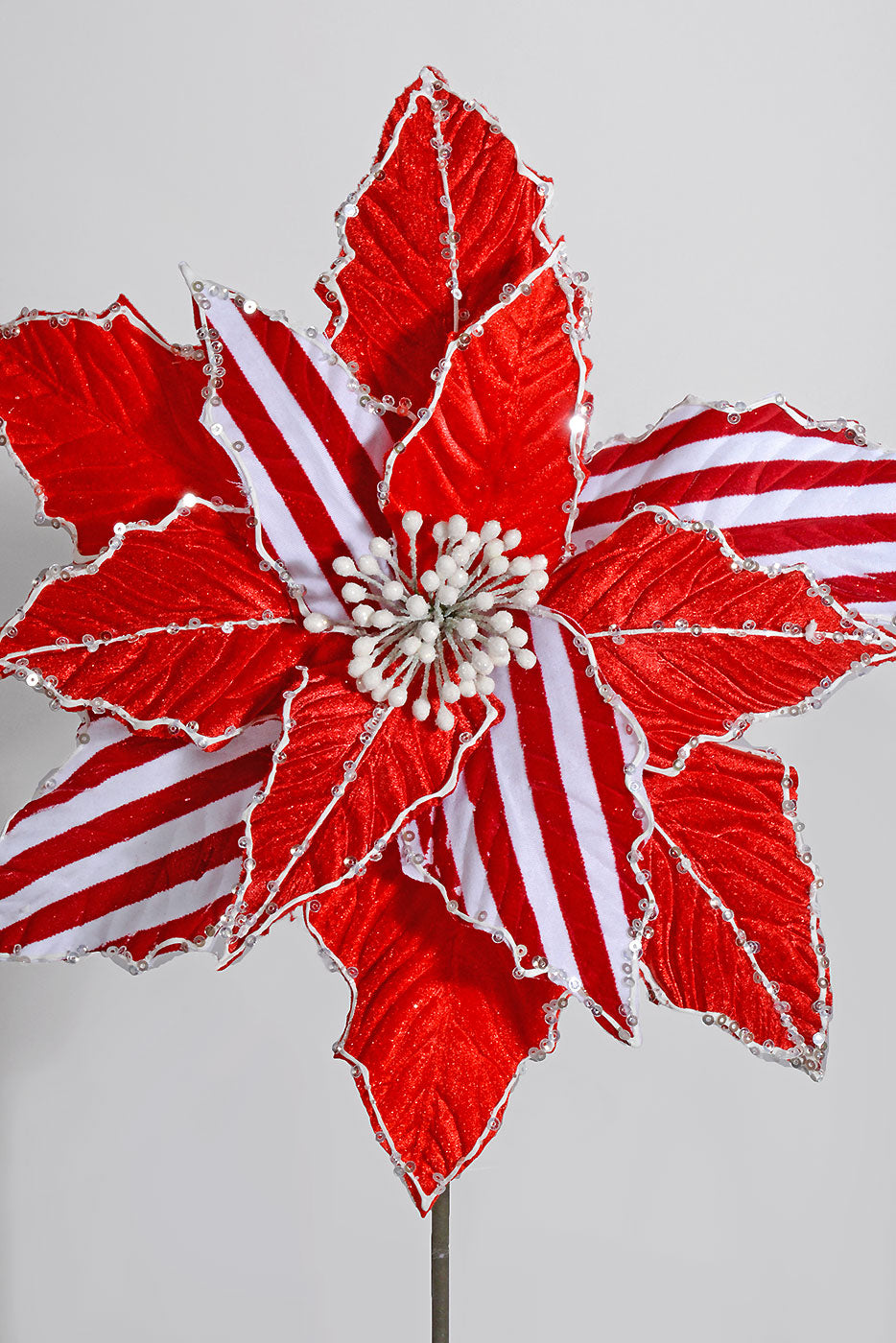 27â€ X 12" Stripe Poinsettia Stem Red/White