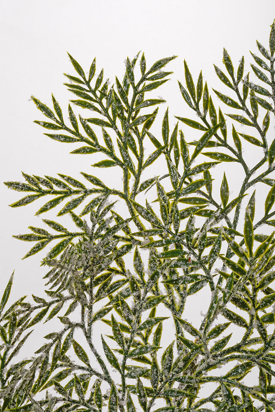 26" Plastic Leaf With Iced Spray Green