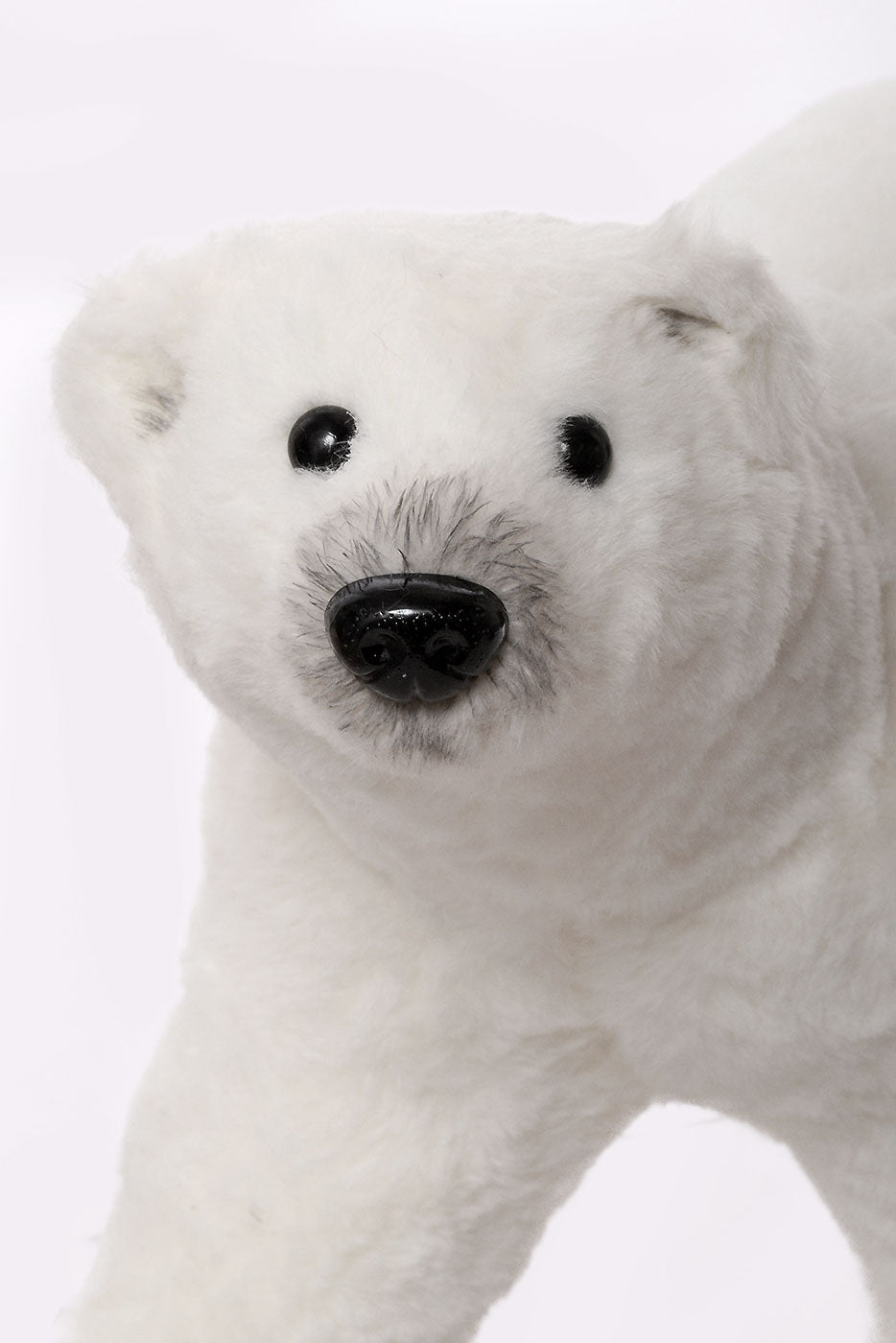 15&quot; X 9&quot;  Bear White