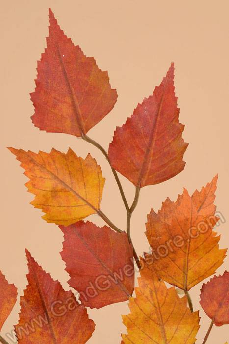 26" Birch Leaf Spray Brick/green