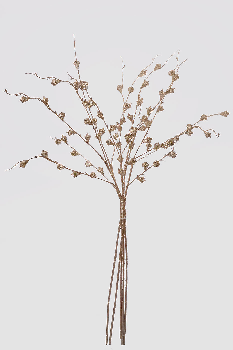 26" Cone Spray Champagne