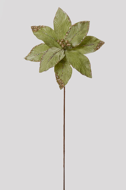 26" Poinsettia Stem Mint