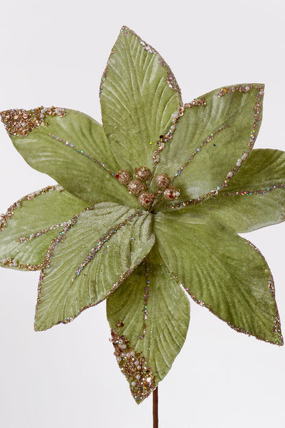 26" Poinsettia Stem Mint