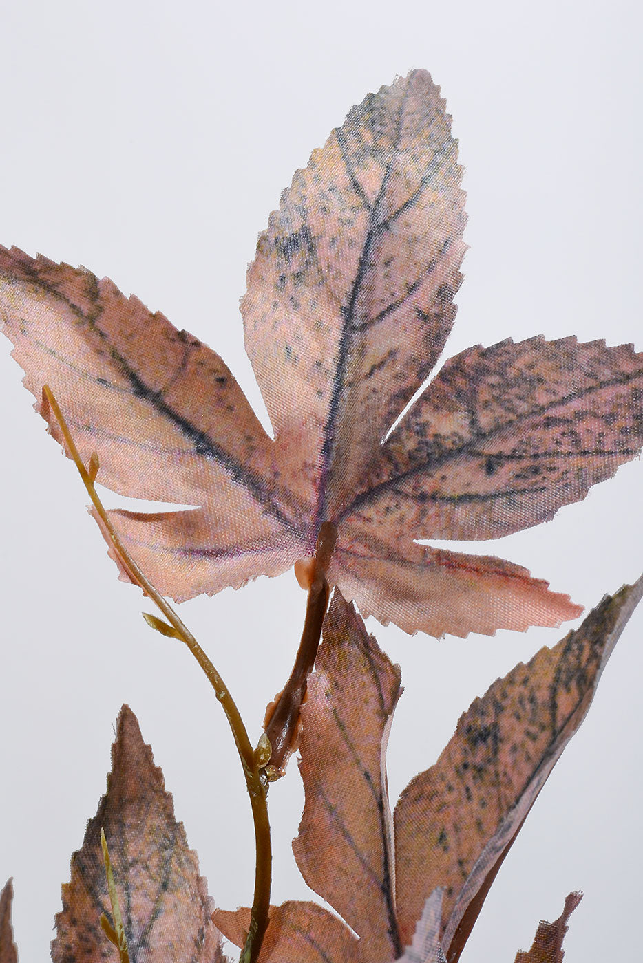 30" Canadian Maple Leaf Stem Brown