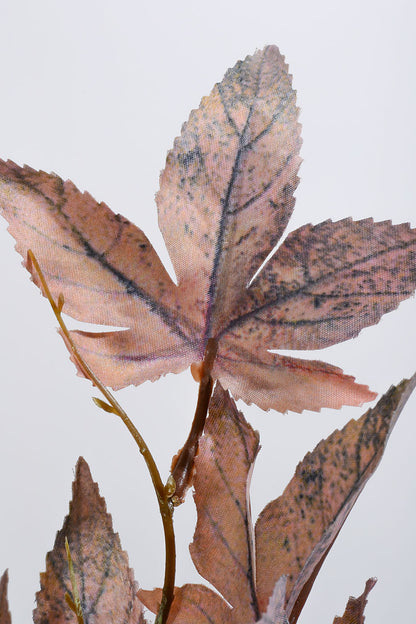 30" Canadian Maple Leaf Stem Brown