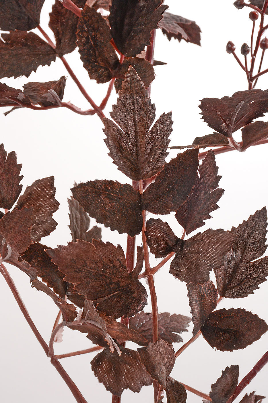31" Autumn Ruscus With Berry Bush Plum