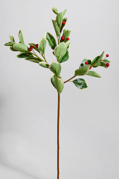 25" Euphorbia Marginata With Berries Spray Red/Green/White
