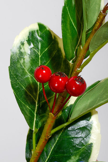 25" Euphorbia Marginata With Berries Spray Red/Green/White