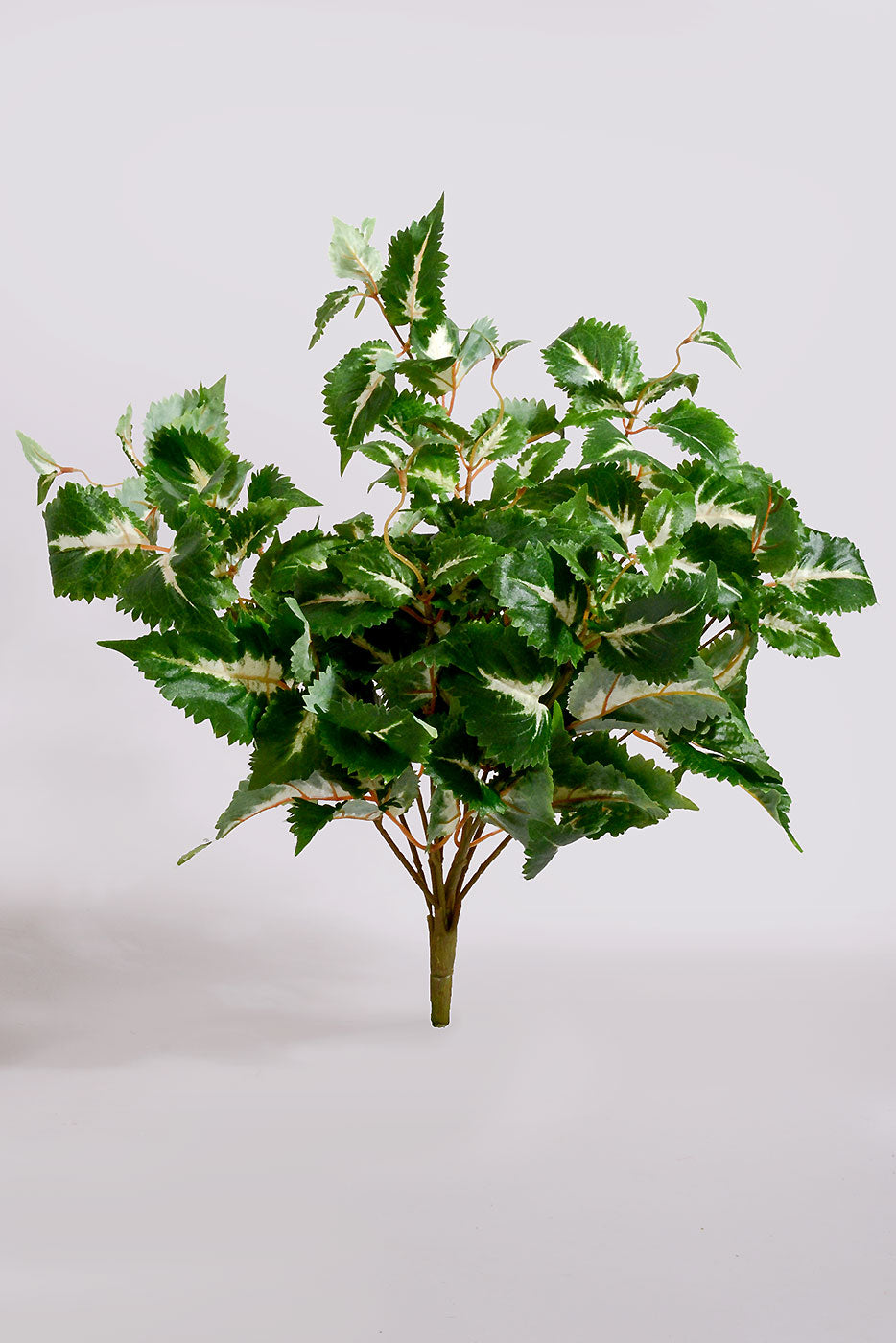 23&quot; UV Artificial Protected Coleus Hanging Bush Green/Cream