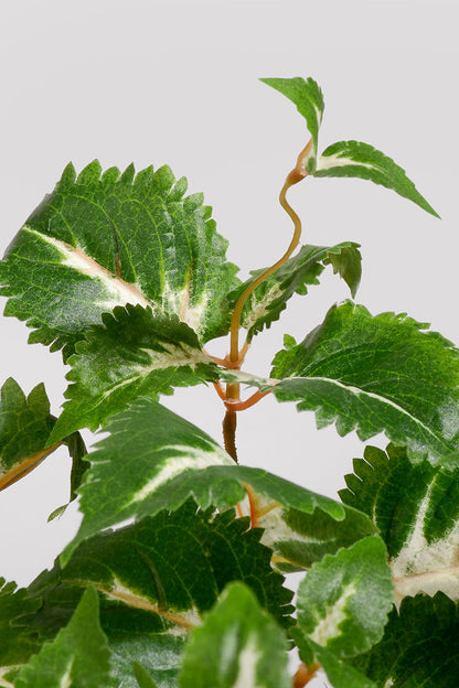 23" UV Artificial Protected Coleus Hanging Bush Green/Cream