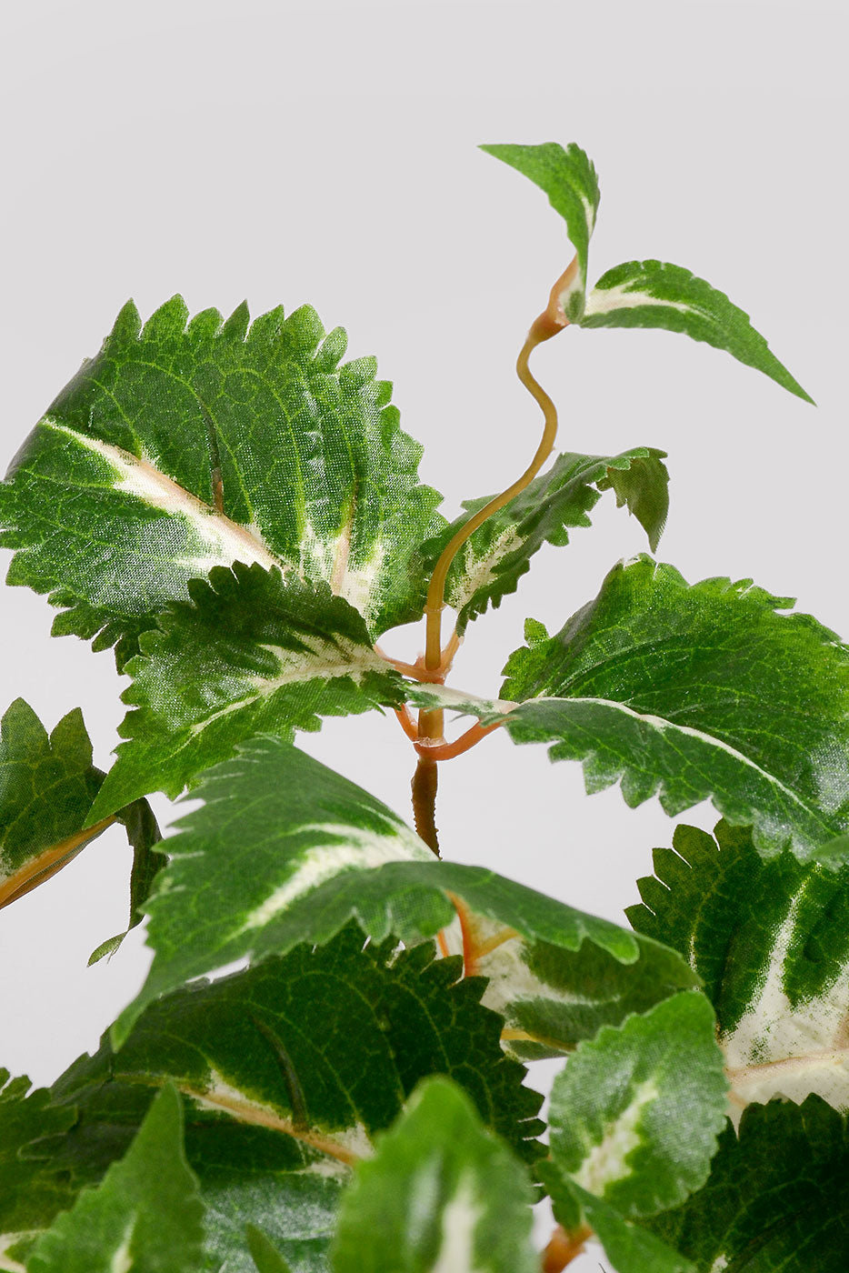 23&quot; UV Artificial Protected Coleus Hanging Bush Green/Cream