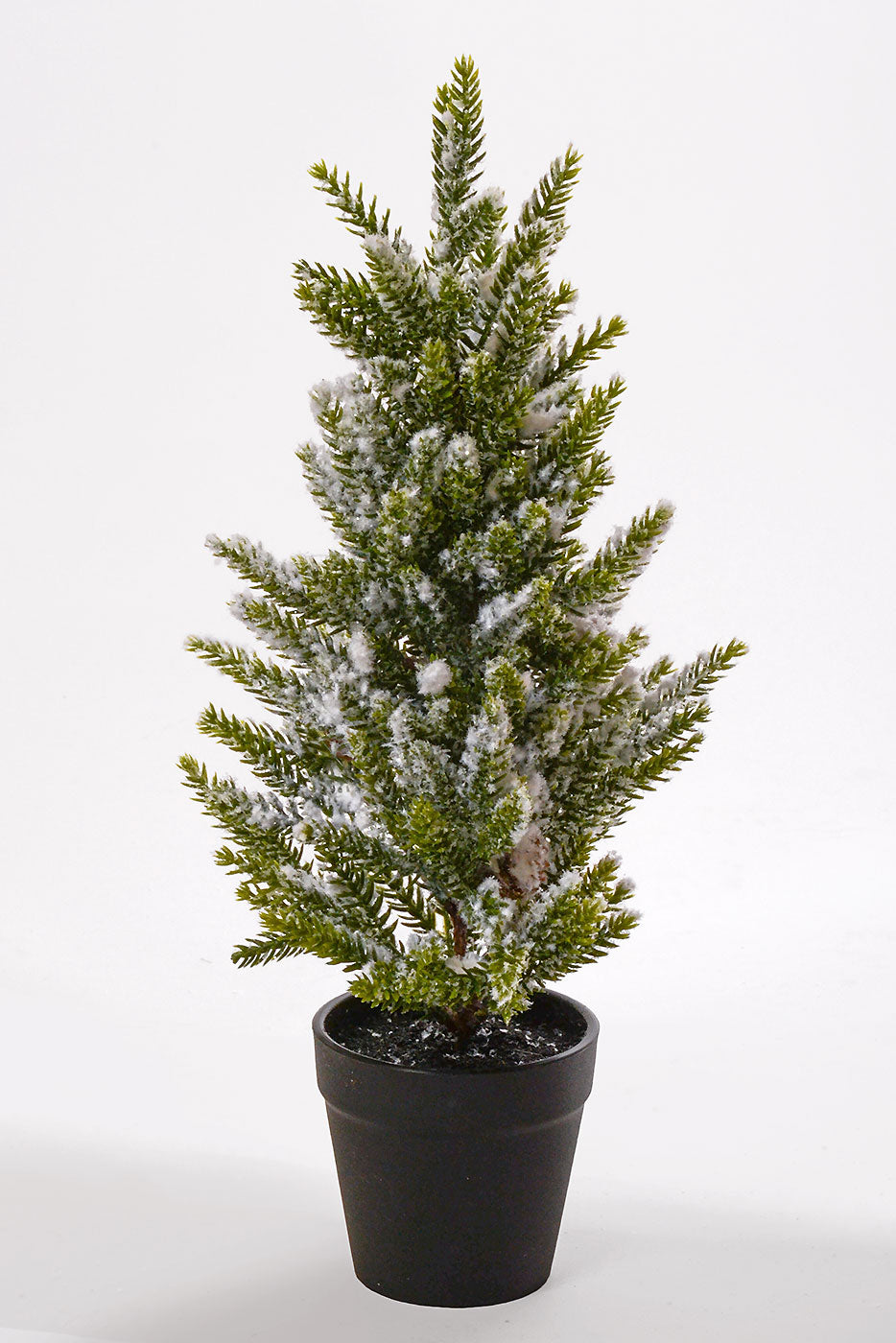 14.5" Snowed Pine Tree in Pot White/Green