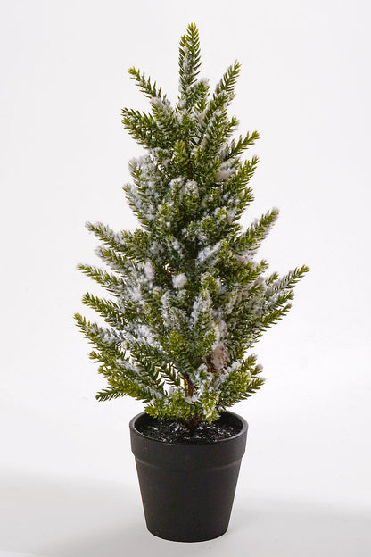 14.5" Snowed Pine Tree in Pot White/Green