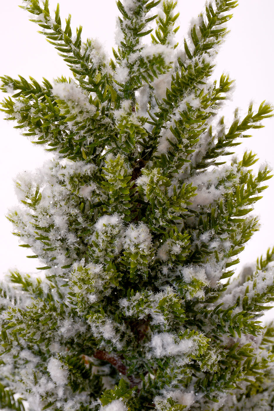 14.5" Snowed Pine Tree in Pot White/Green