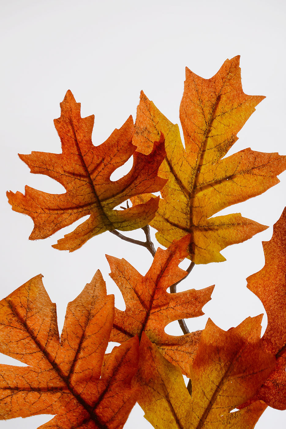 34" Velvet Oak Leaf Spray Orange/Flame