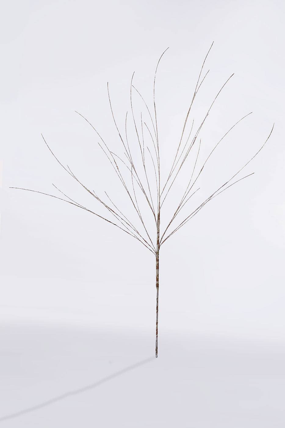 46" Iced Glitter Birch Spray Cream/Brown