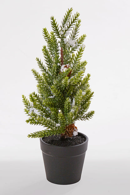 10.5" Snowed Pine Tree in Pot White/Green