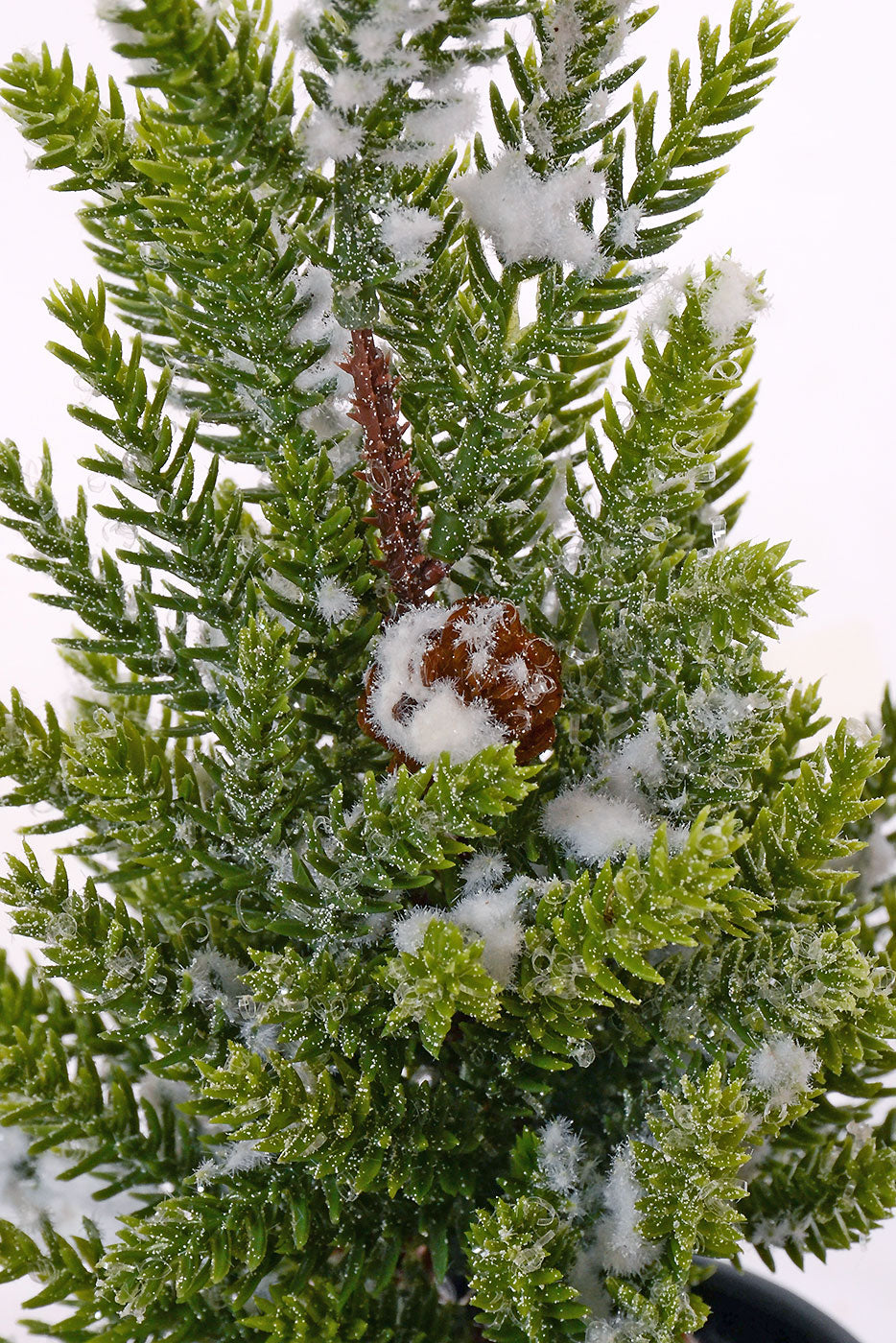 10.5" Snowed Pine Tree in Pot White/Green