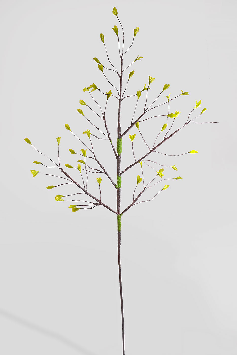 48" Spring Sprout Green