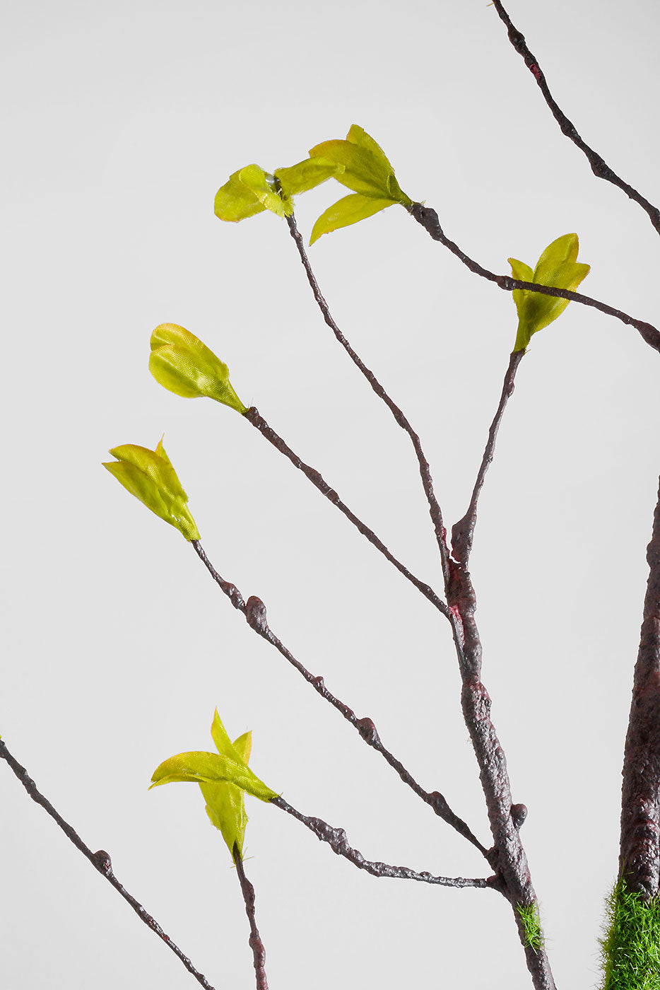 48" Spring Sprout Green