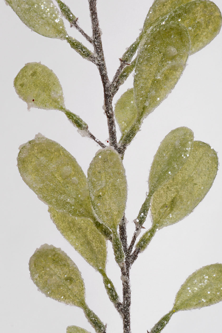 34" Myrtle Frosted Bush Mint Green