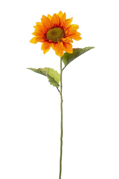 24" Silk Sunflower Spray Orange