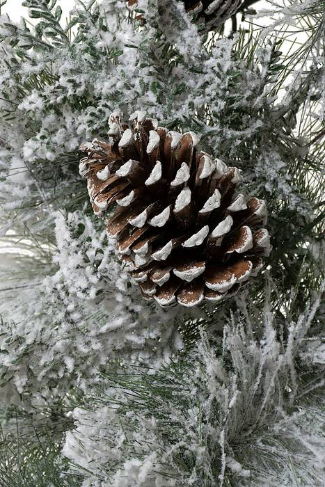 9ft Snow Garland W/pine Cones White